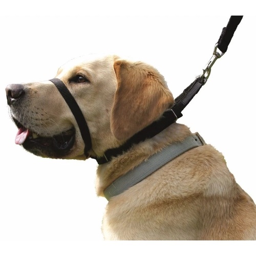 Canny Collar Stop Lead Pulling for Walking Training Size 2 28-33cm