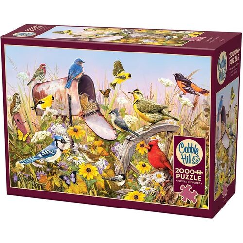 Cobble Hill Field Song Jigsaw Puzzle incl Poster 2000 Pieces (COB49013)