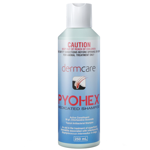 Dermcare Pyohex Medicated Foam Dogs Treatment Shampoo 250ml 