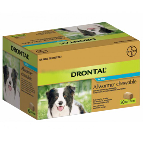 Drontal Chewable Allwormer for Dogs Medium 3-10kg 80 Pack 