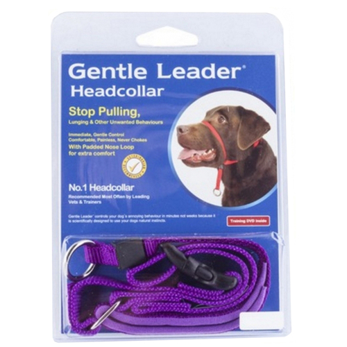 Gentle Leader Dog Training Headcollar Purple Small 